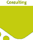Consulting